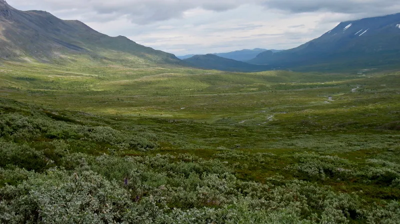 Klicka för att förstora