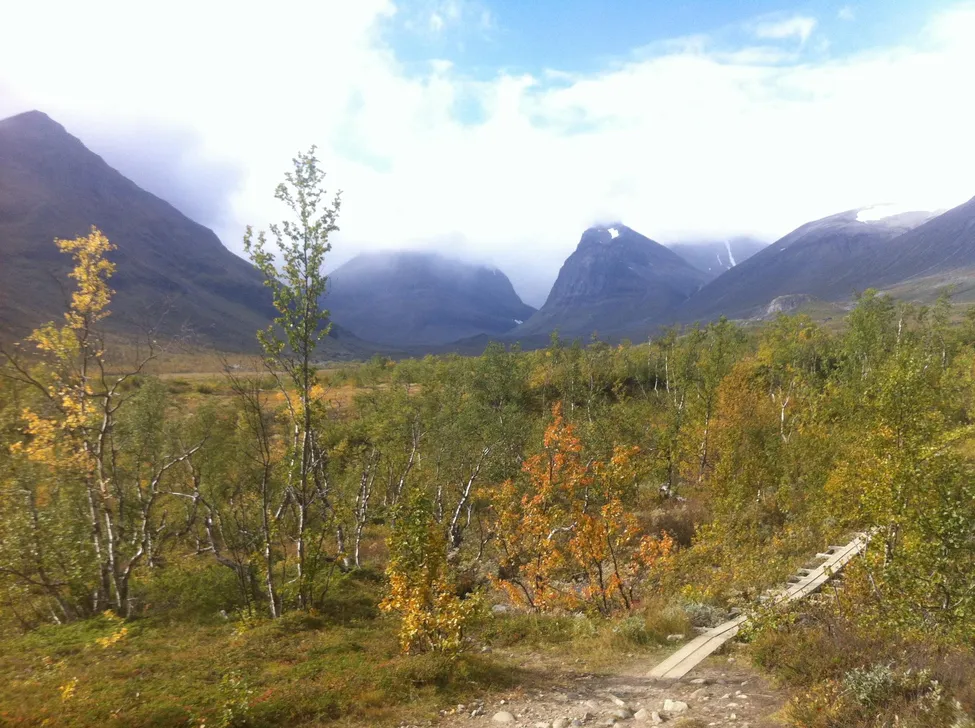 Klicka för att förstora