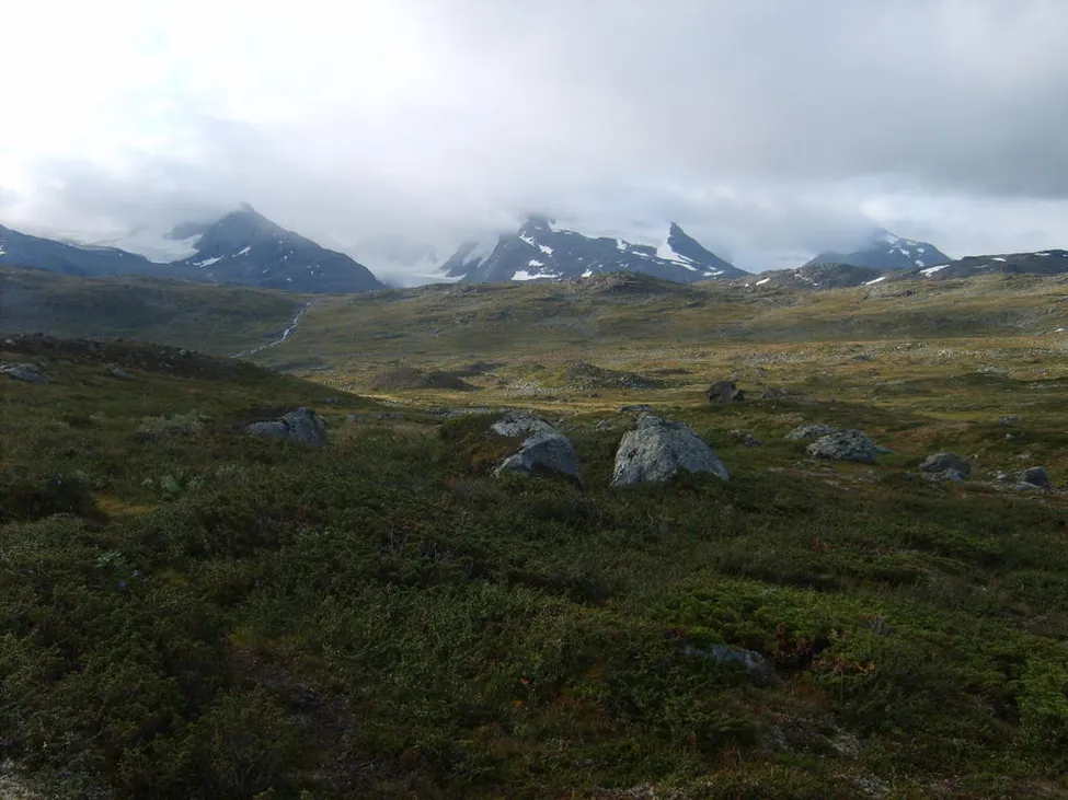 Klicka för att förstora