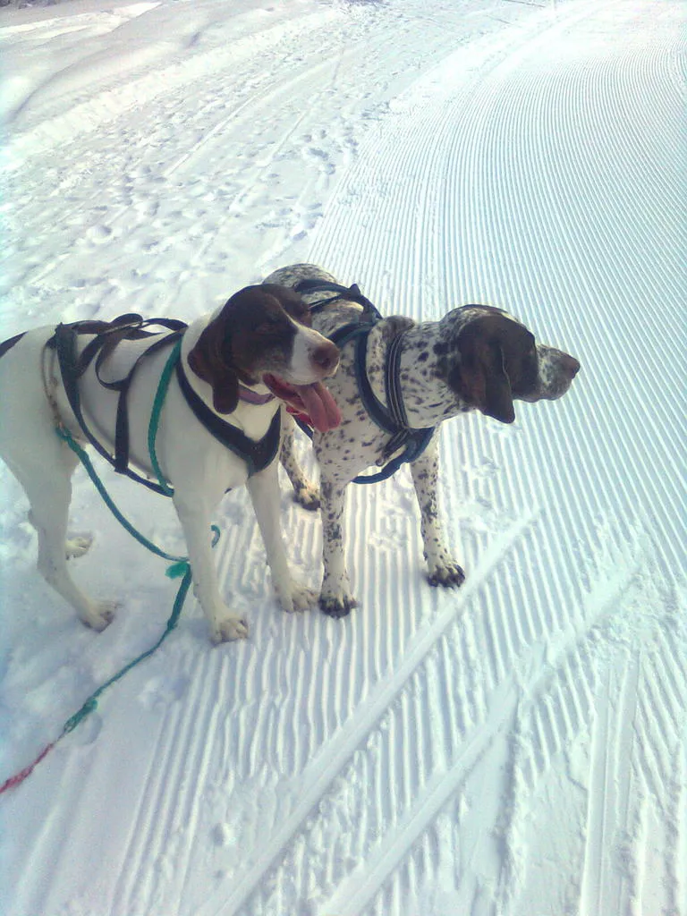 Klicka för att förstora