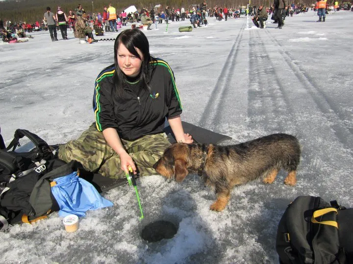 Klicka för att förstora