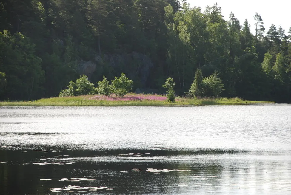 Klicka för att förstora