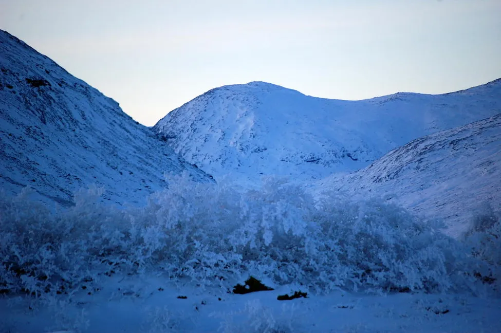 Klicka för att förstora