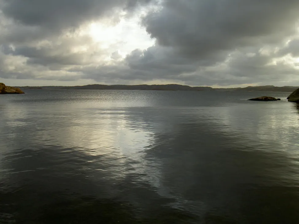 Klicka för att förstora