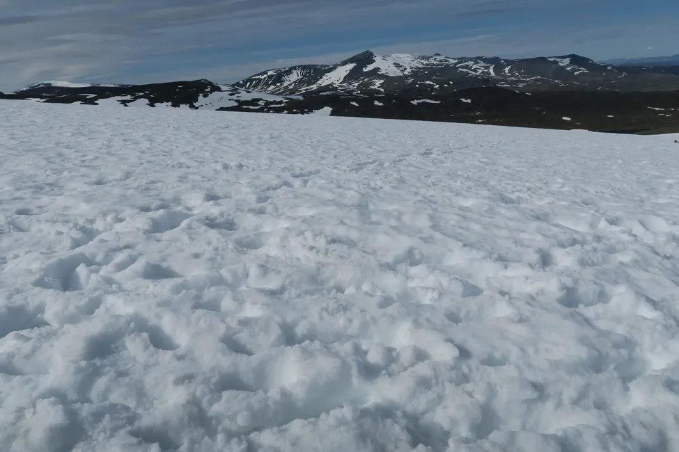 Klicka för att förstora