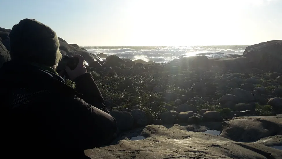 Klicka för att förstora