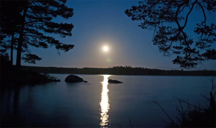 Klicka för att förstora