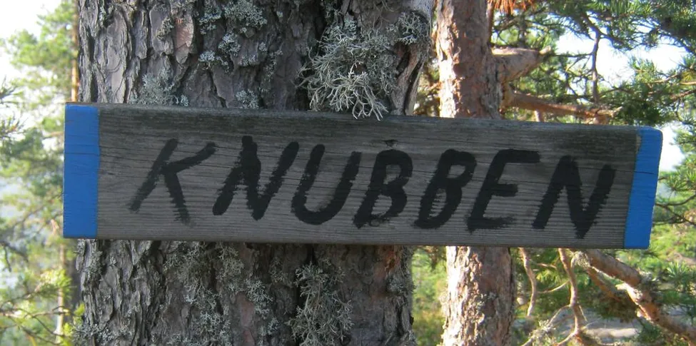 Klicka för att förstora