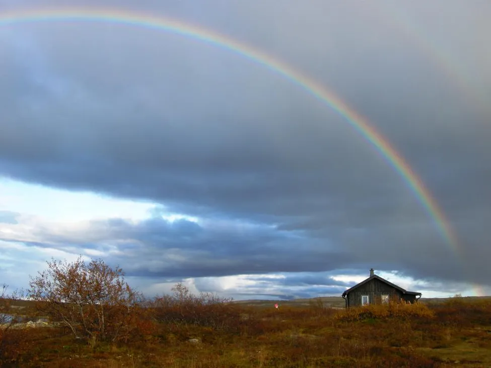 Klicka för att förstora