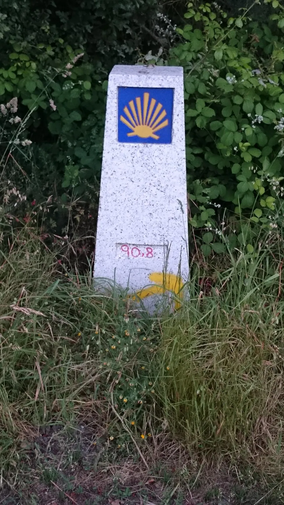 Klicka för att förstora