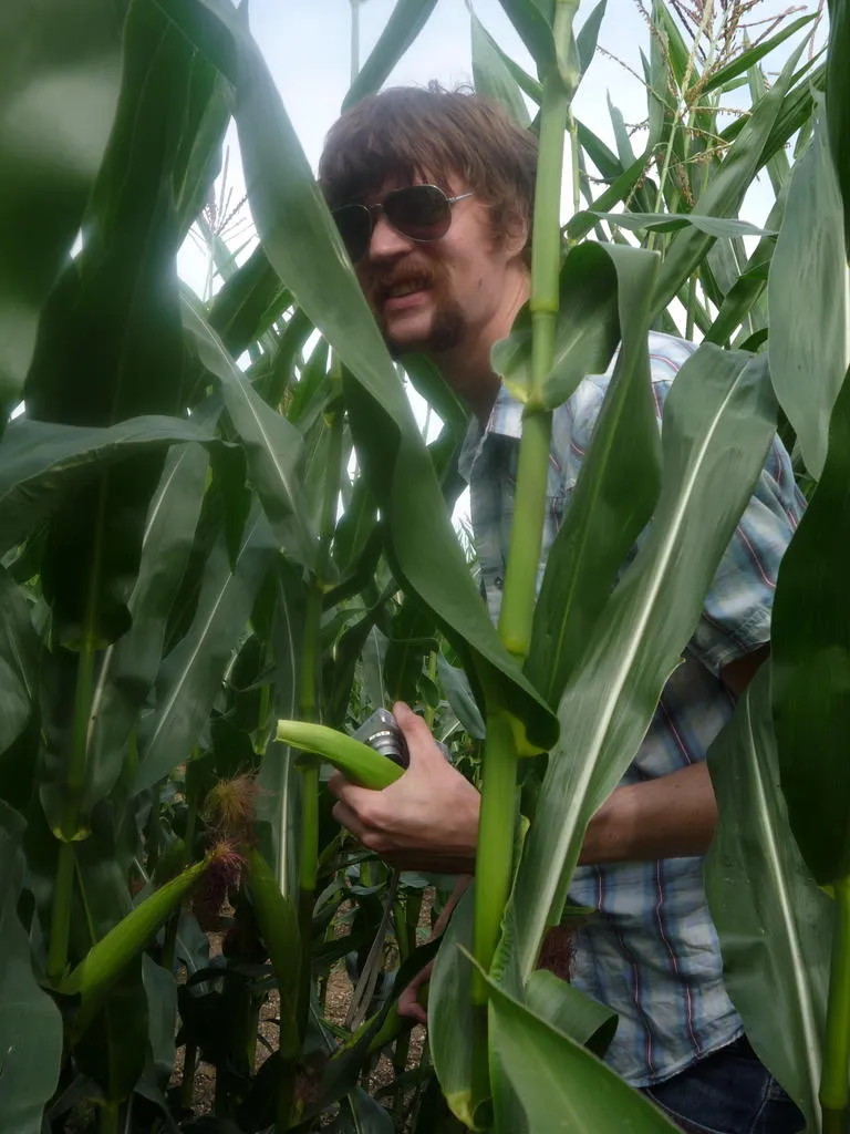 Klicka för att förstora