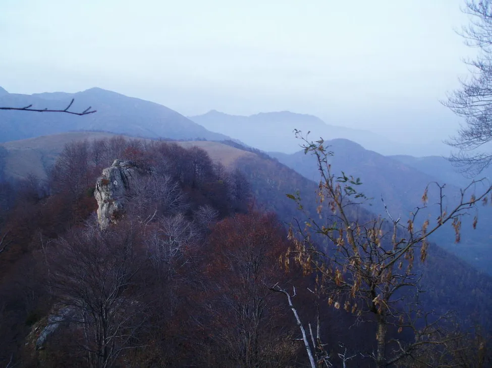 Klicka för att förstora