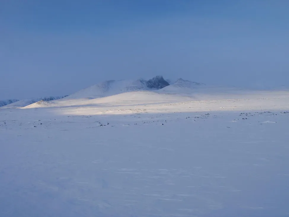 Klicka för att förstora