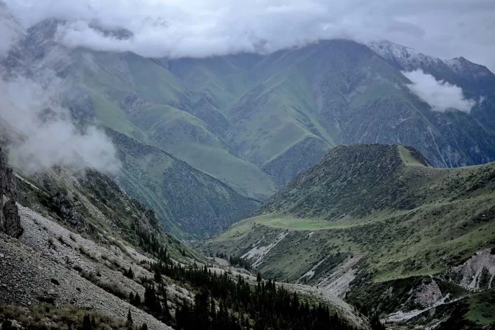 Klicka för att förstora