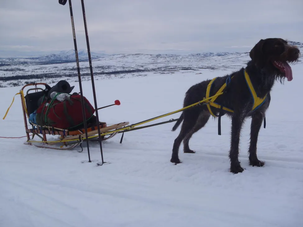 Klicka för att förstora