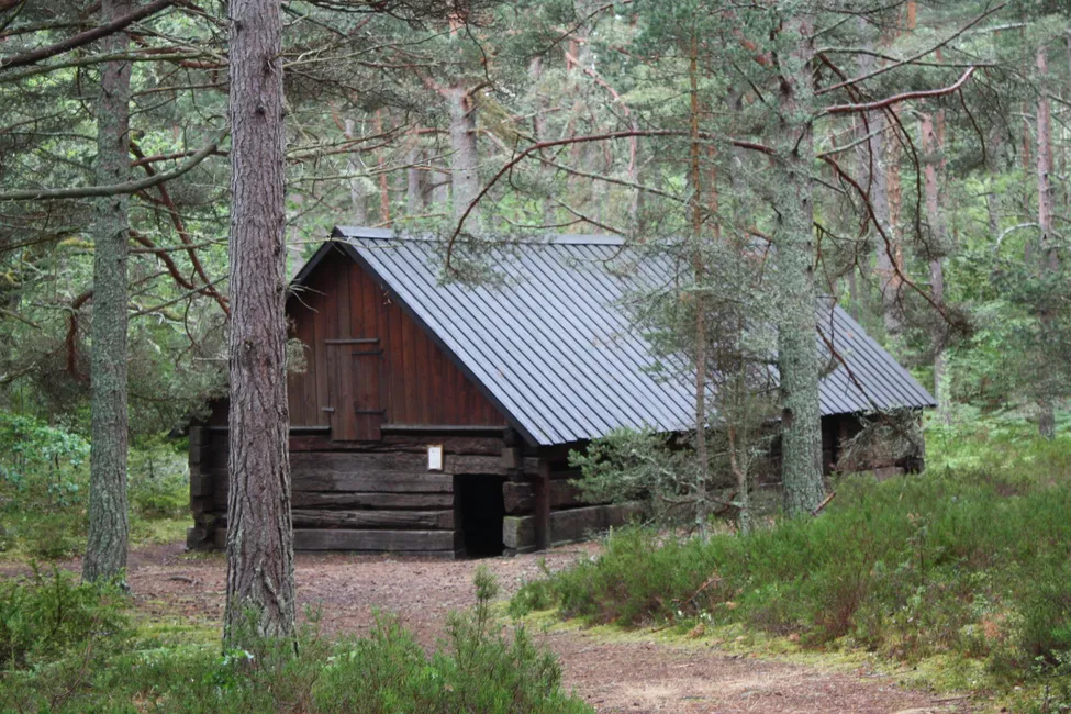 Klicka för att förstora