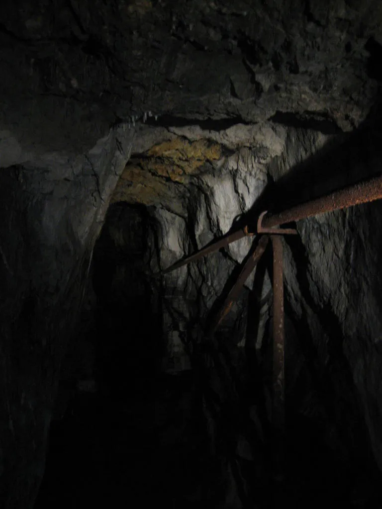 Klicka för att förstora