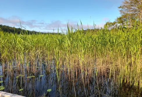 Byträsk, Geta, Åland