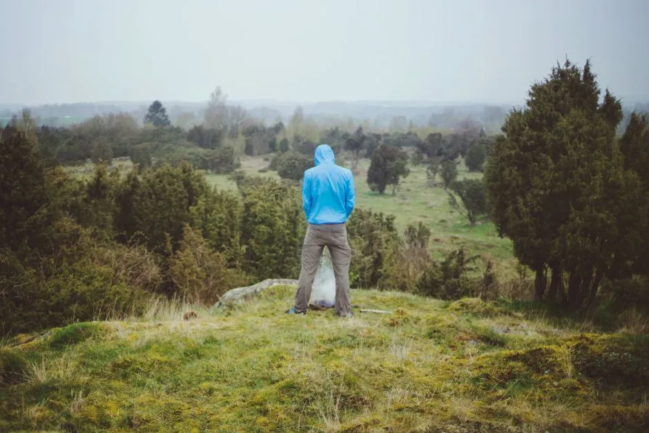 Klicka för att förstora
