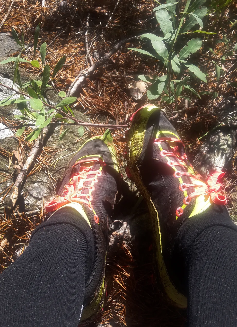 Klicka för att förstora