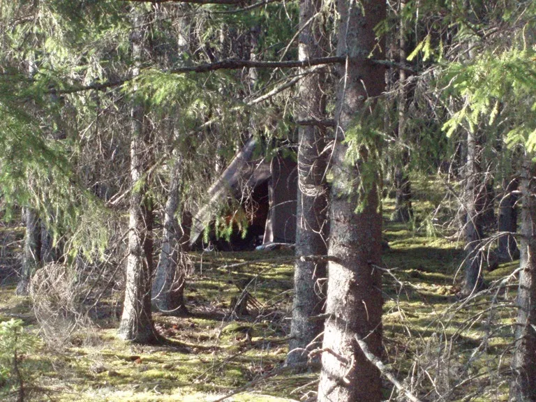 Klicka för att förstora