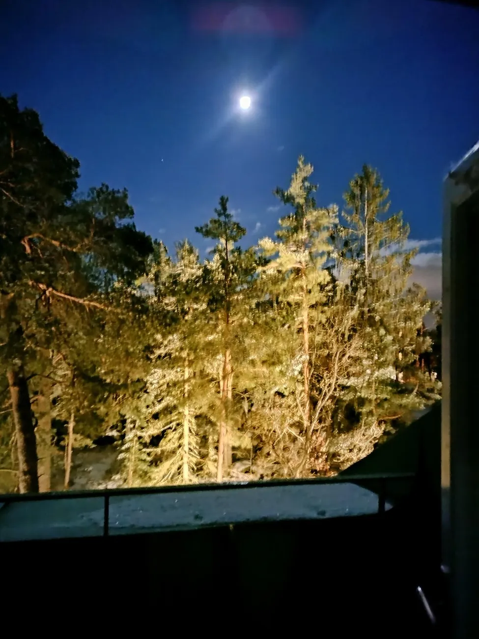 Klicka för att förstora