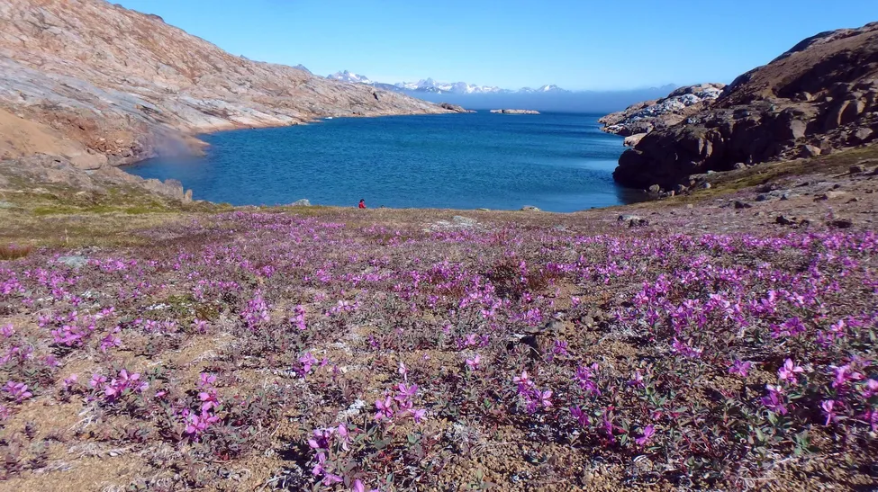 Klicka för att förstora