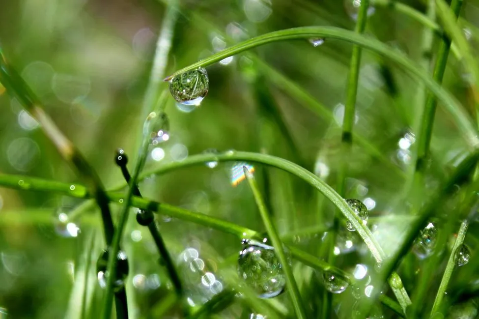 Klicka för att förstora