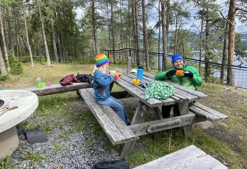 Grillning i skogen 250824