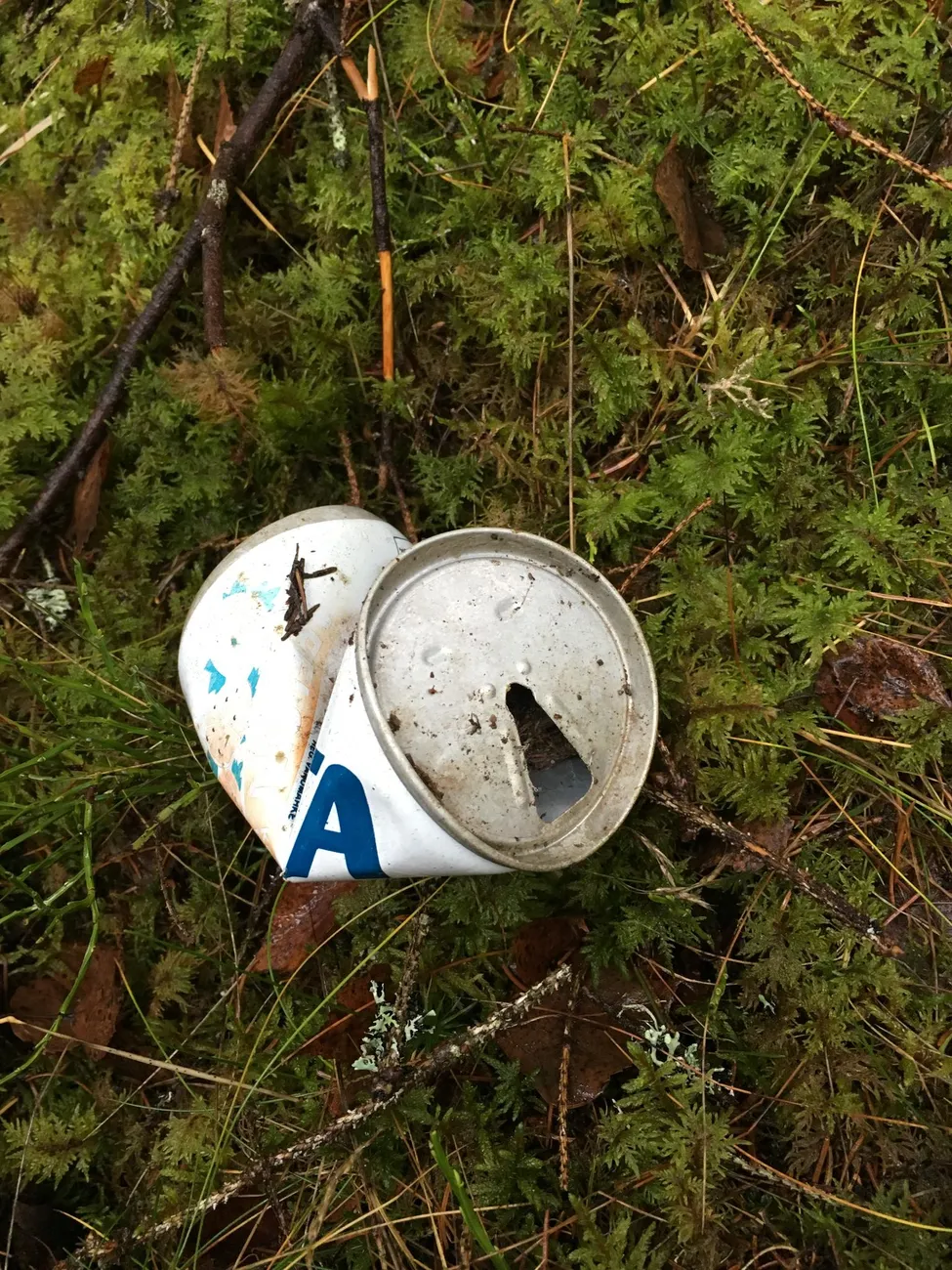 Klicka för att förstora