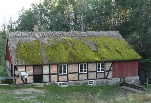 När de beskedliga korna kanske inte är så beskedliga längre