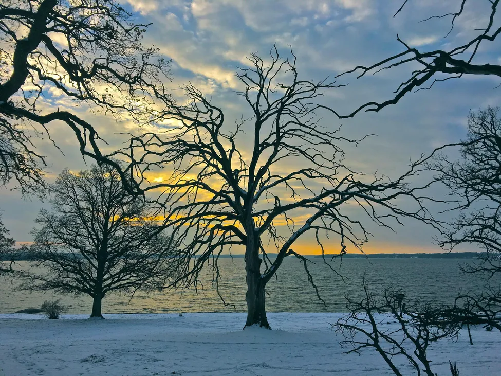 Klicka för att förstora