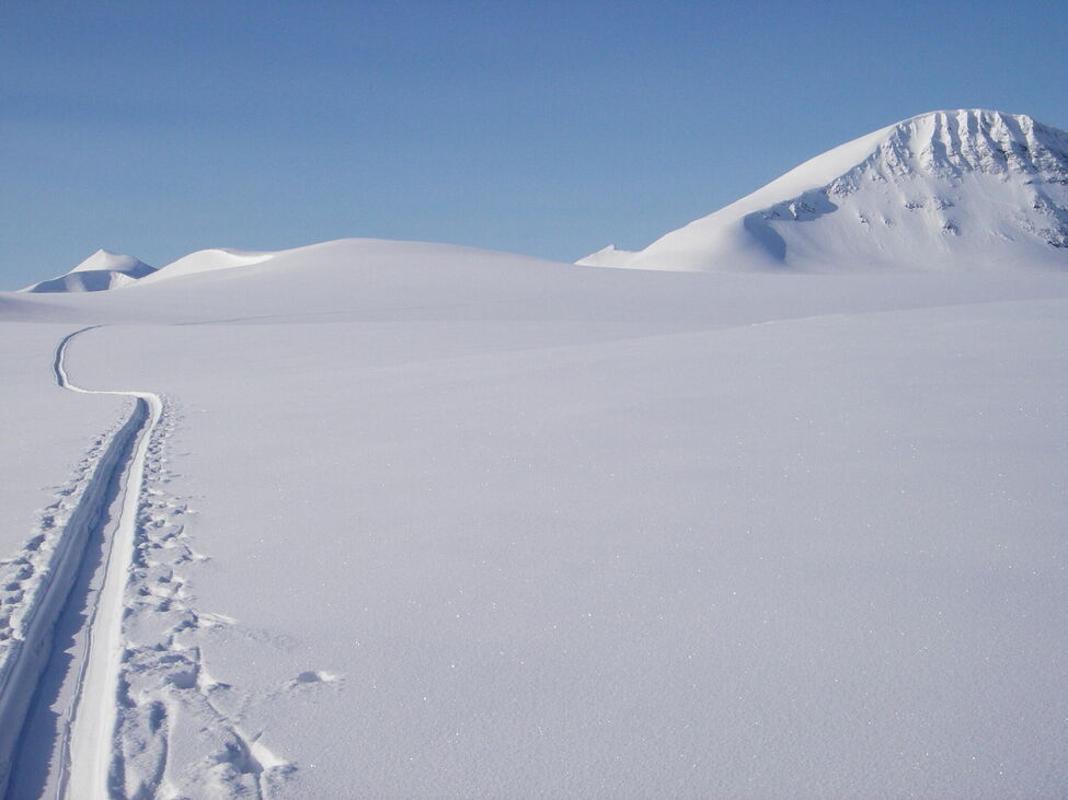 Klicka för att förstora