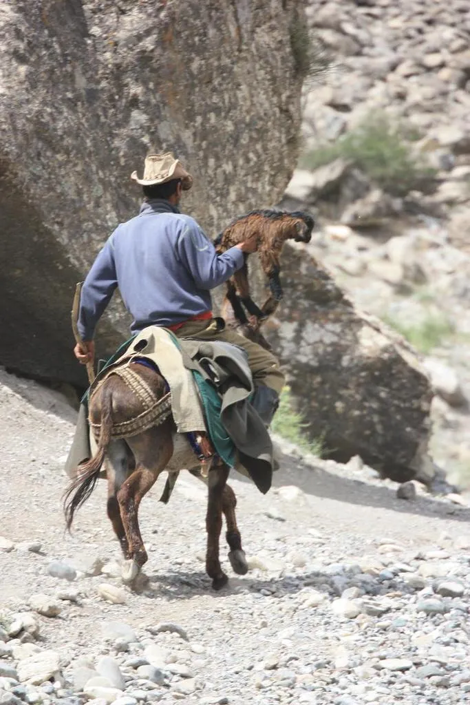 Klicka för att förstora