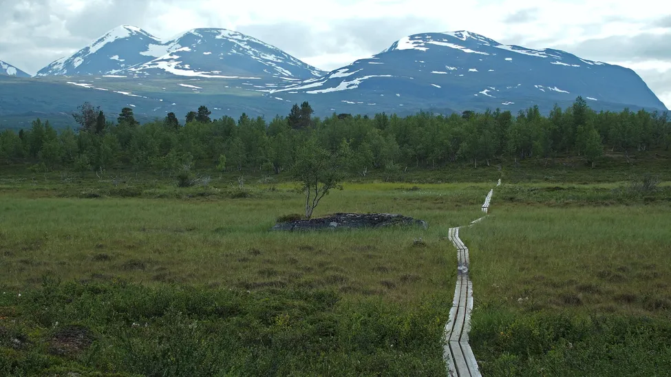 Klicka för att förstora