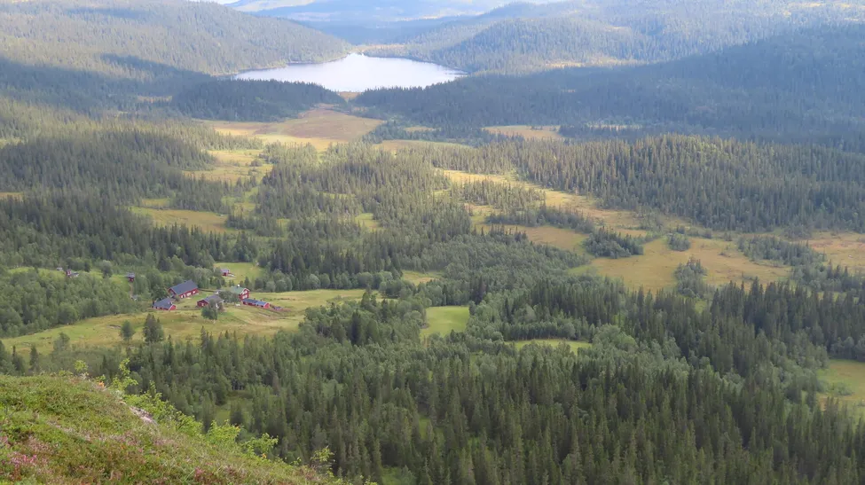 Klicka för att förstora