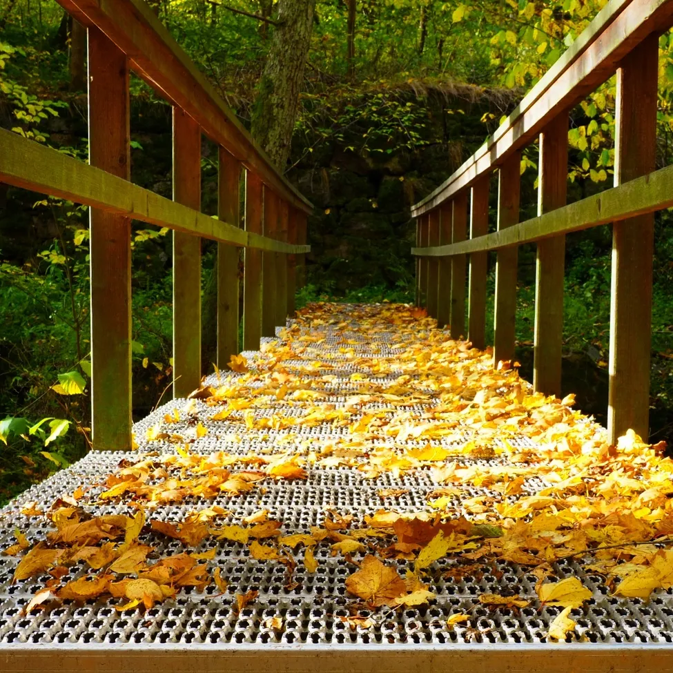 Klicka för att förstora