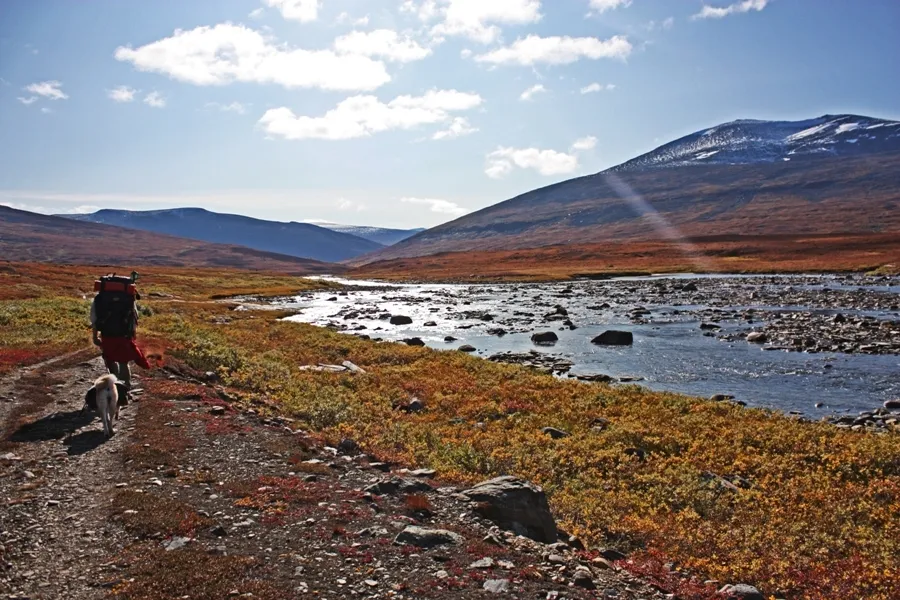 Klicka för att förstora