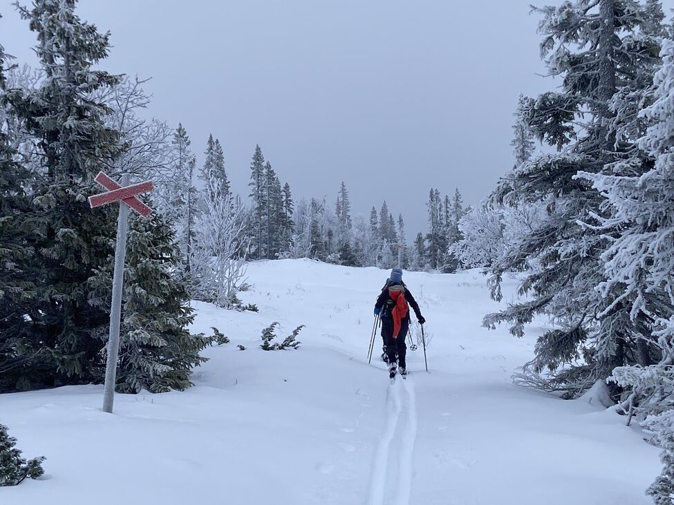 Klicka för att förstora