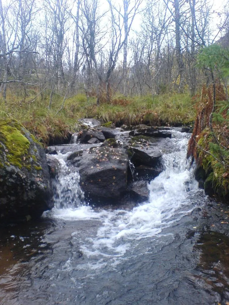 Klicka för att förstora