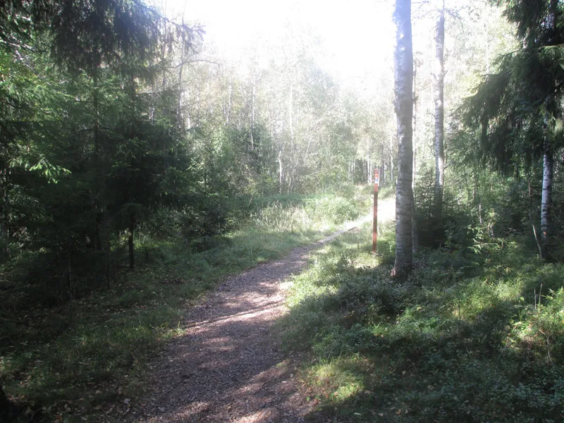 Klicka för att förstora