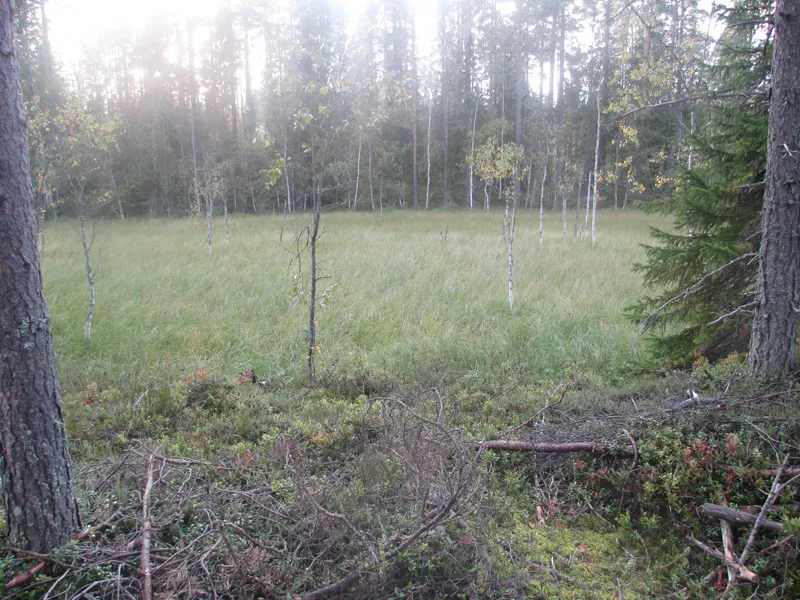 Klicka för att förstora