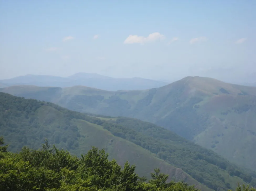 Klicka för att förstora