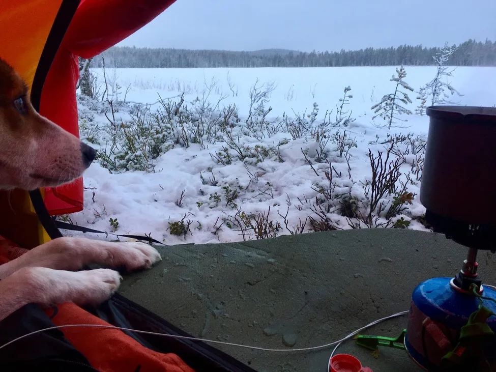 Klicka för att förstora