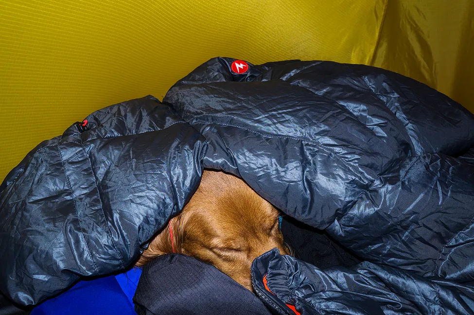 Klicka för att förstora