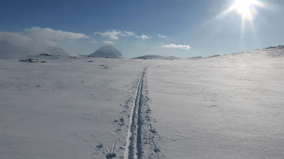Klicka för att förstora