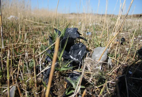 Håll Sverige Rent-dagen - 15 september