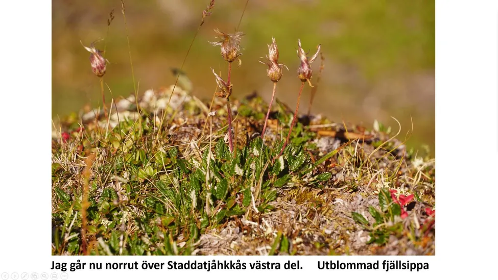 Klicka för att förstora