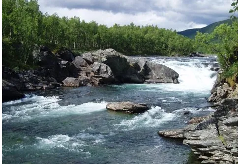 Ammarnäs - en tur i juli