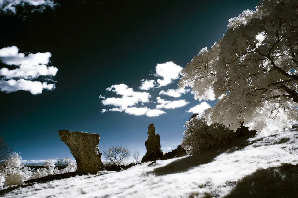 Klicka för att förstora